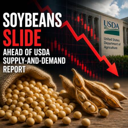 Soybeans Slide Ahead of USDA Supply-and-Demand Report Soybeans Slide Ahead Of Usda Supply-And-Demand Report