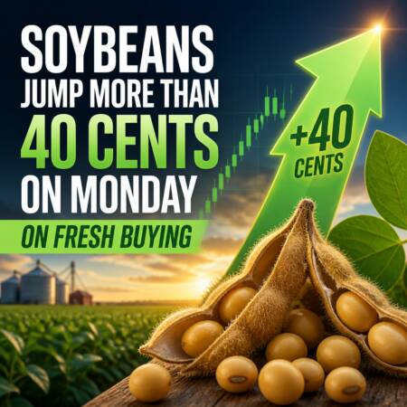 Soybeans Jump More Than 40 Cents on Monday on Fresh Buying Soybeans Jump More Than 40 Cents On Monday On Fresh Buying